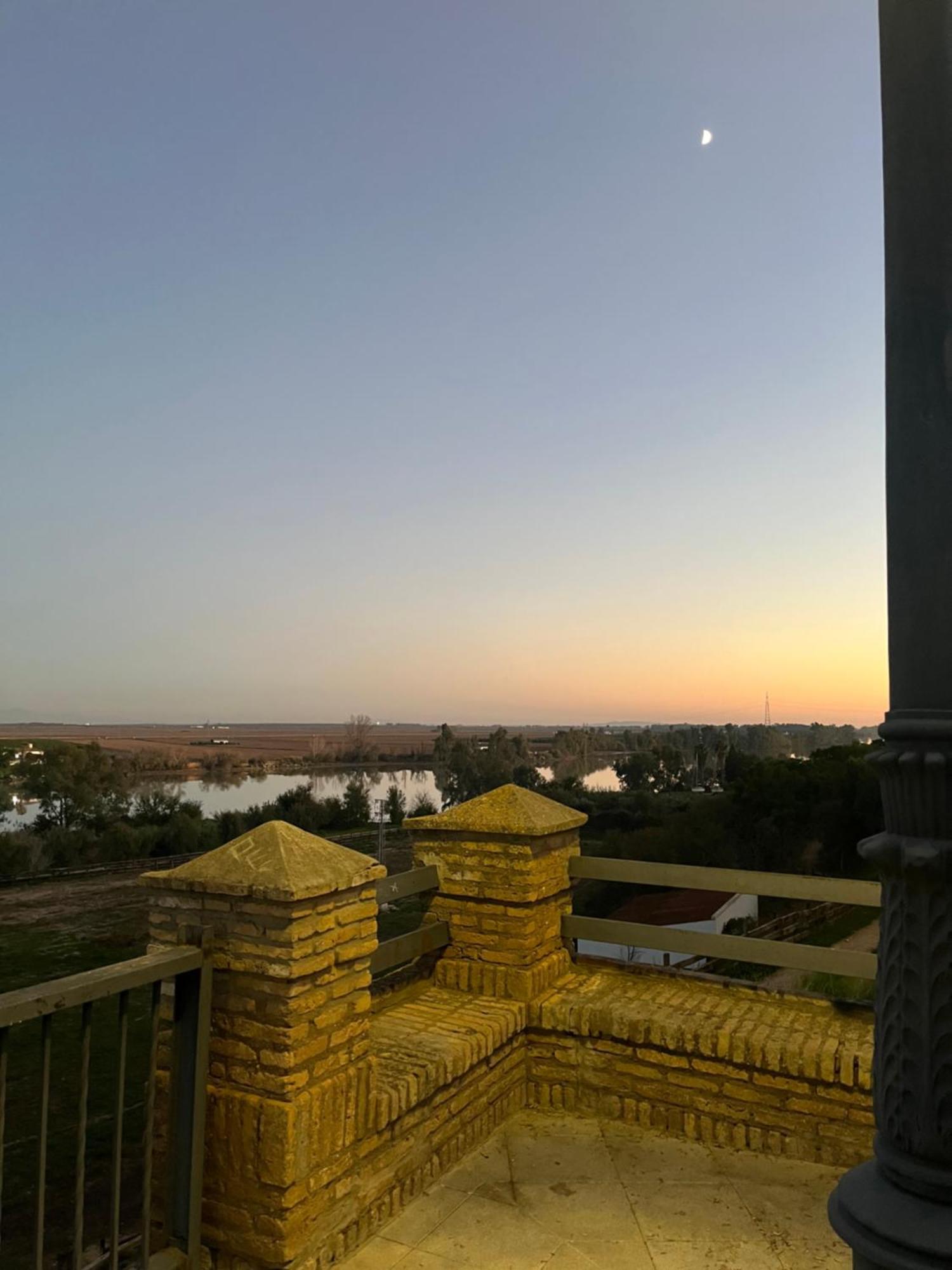 Estudio Las Palmillas Puebla del Río Екстериор снимка