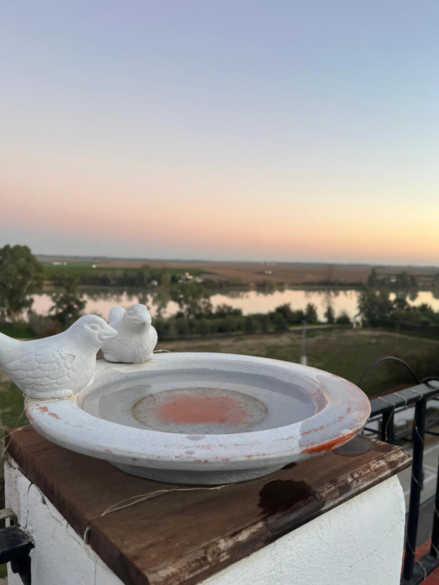 Estudio Las Palmillas Puebla del Río Екстериор снимка
